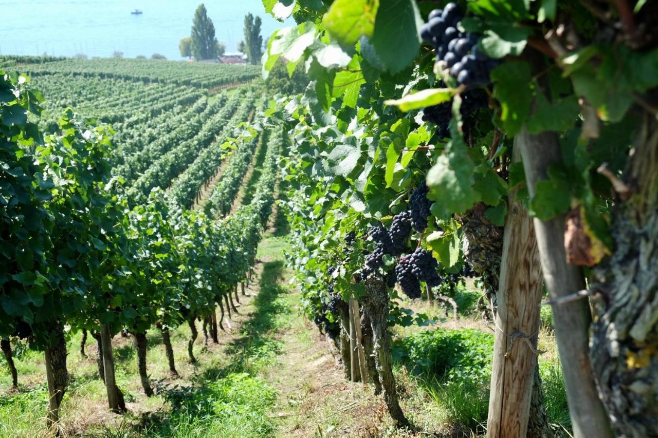 Ferienwohnung In Stockach Am Bodensee Ngoại thất bức ảnh
